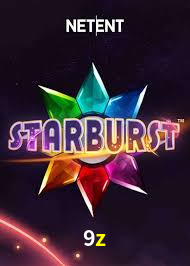 Explore as vantagens do 9z: serviço profissional e confiabilidade